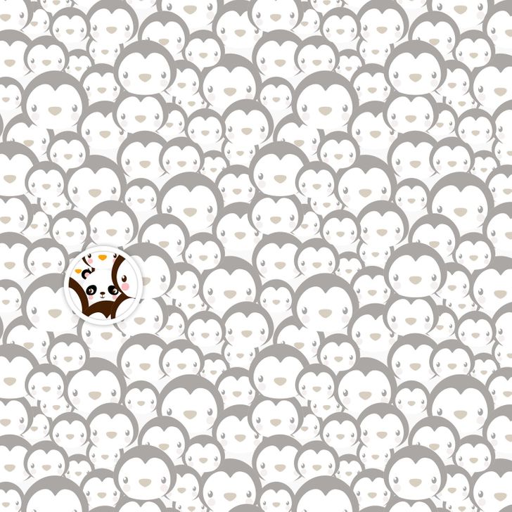 Find the Panda
