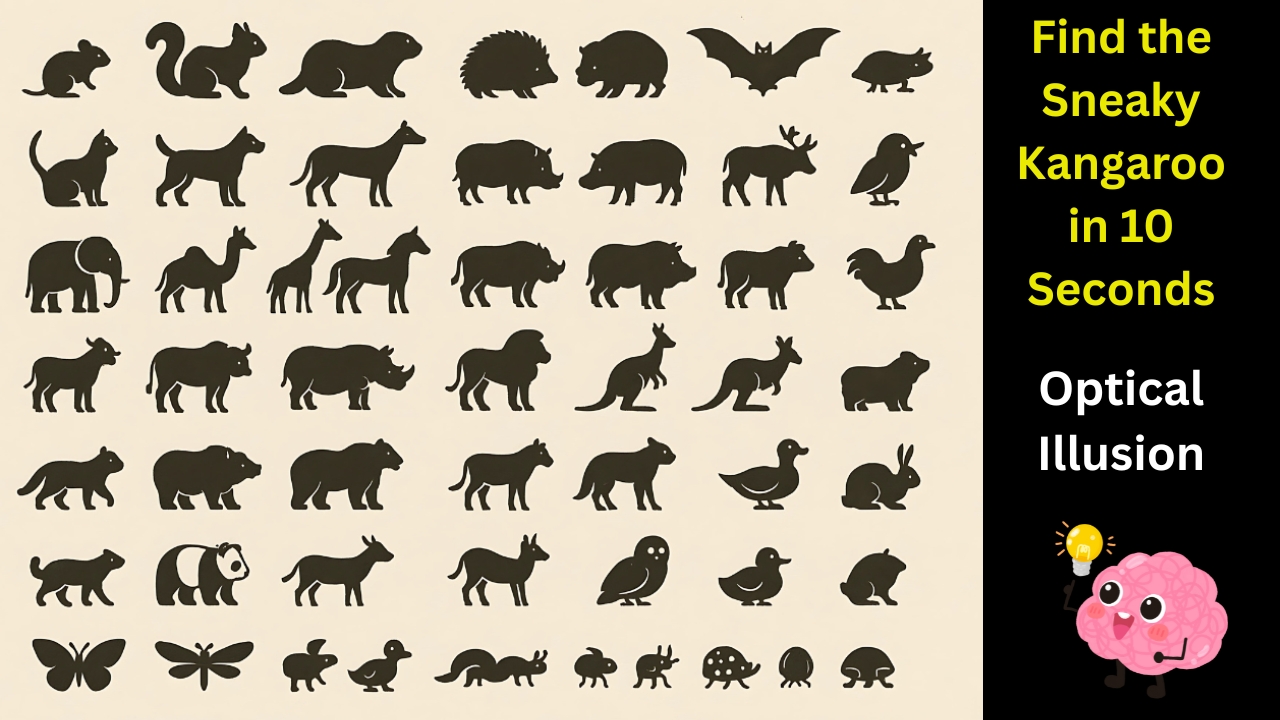 Dare to Find the Elusive Kangaroo? This Optical Illusion Is Breaking the Internet