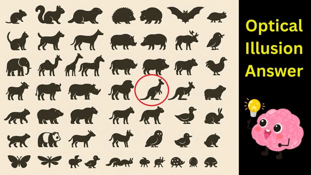 Hidden Kangaroo