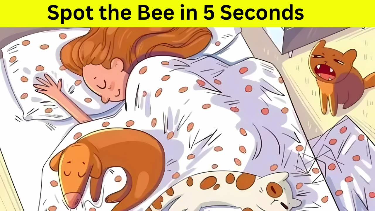 Spot the Bee
