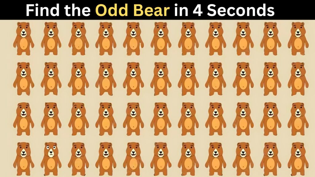 Odd Bear