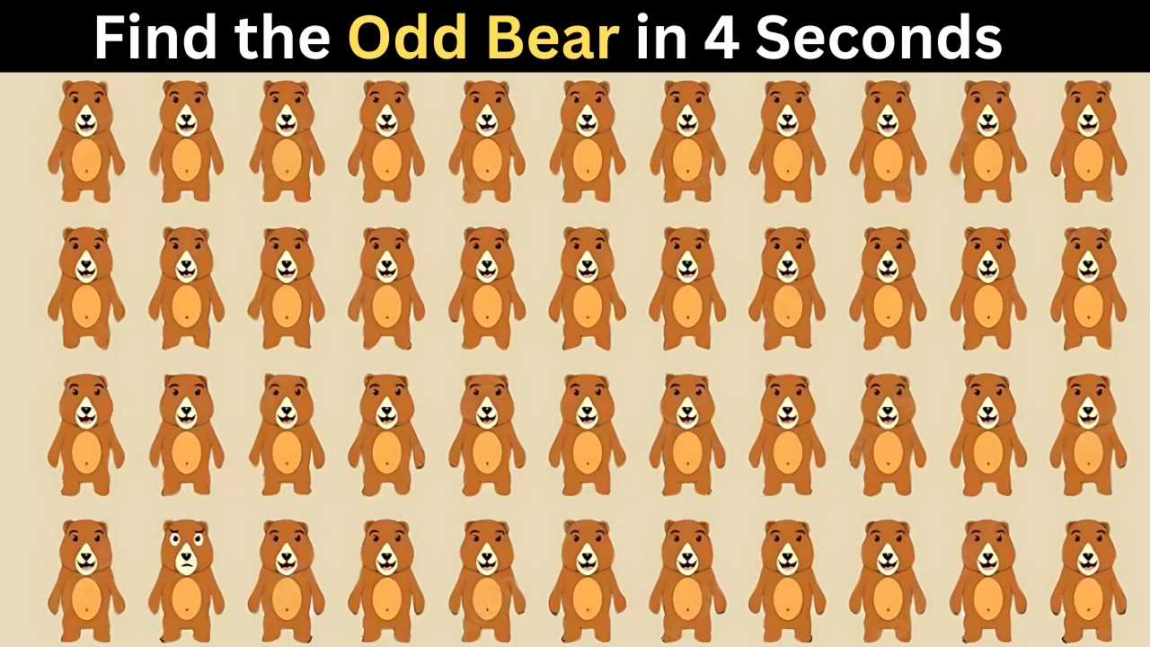 Odd Bear