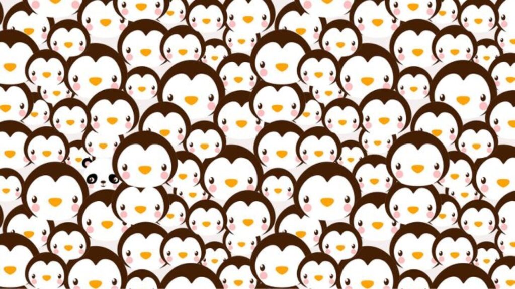Find the Panda