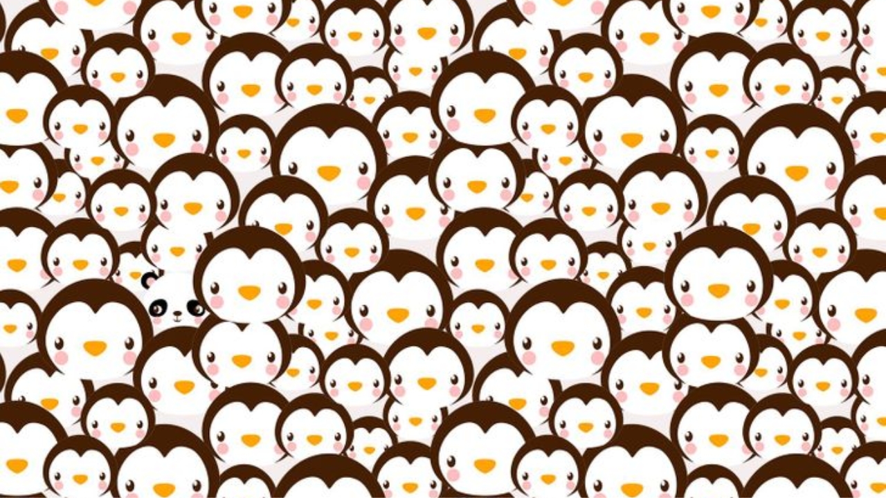 Optical Illusion Challenges : Find the Panda in the Penguin’s Tricky Image