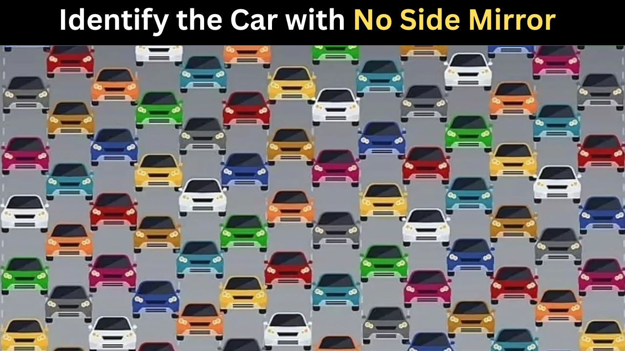 Optical Illusion Challenges : Identify the Car with No Side Mirror