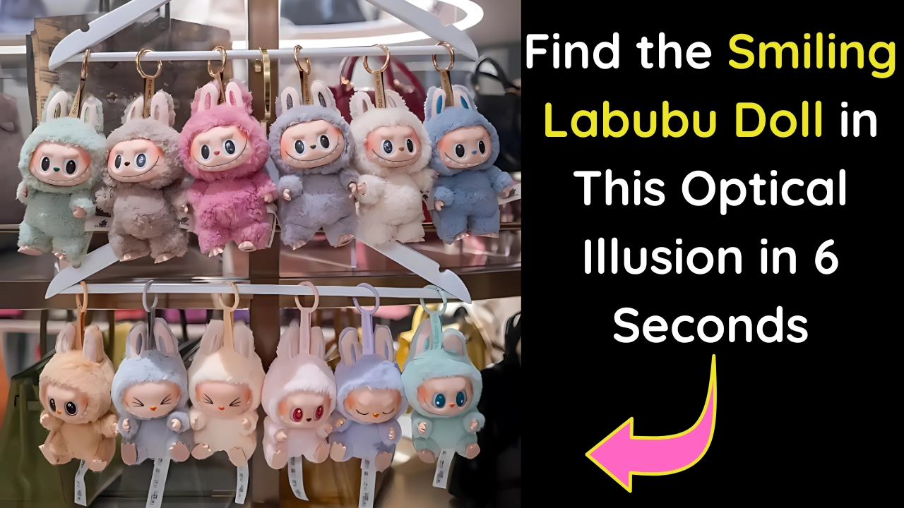 Find the Smiling Labubu Doll in This Optical Illusion in 6 Seconds