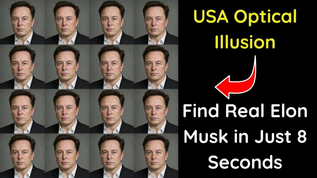 Find Real Elon Musk
