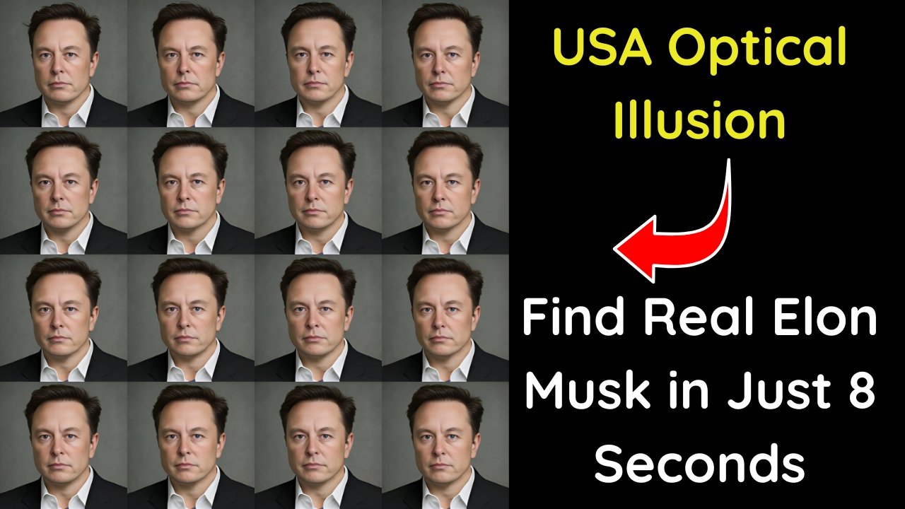 USA Optical Illusion: Find Real Elon Musk in Just 8 Seconds