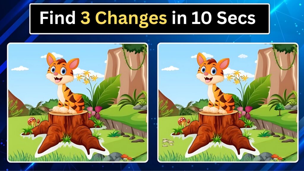 Spot the Difference
