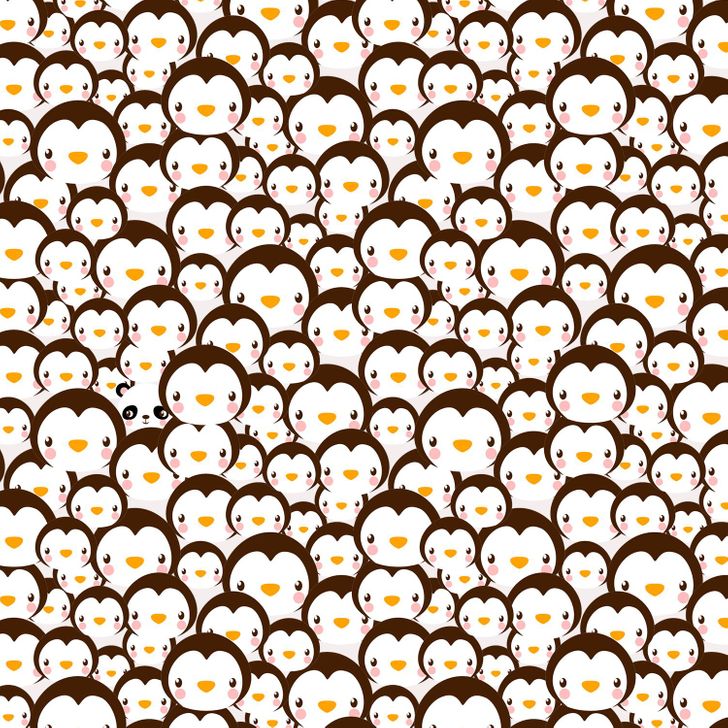 Find the Panda